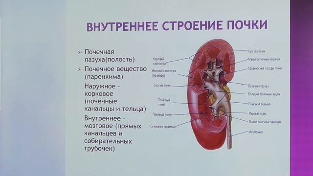 Маликова смотреть онлайн
