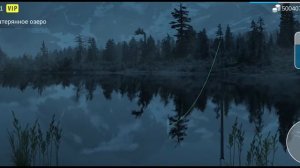 Вечерний стрим | My Fishing World #MyFishingWorld