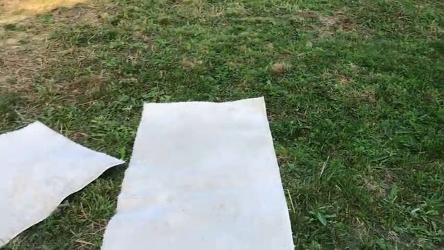 МАГИЯ КОТОВ | Как я избавляюсь от шерсти в доме смотреть онлайн