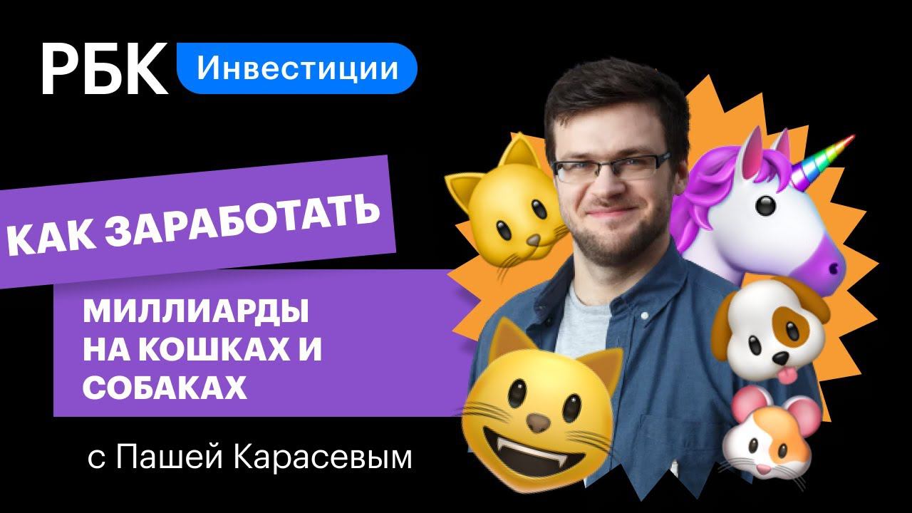 Как заработать на котах и собаках: PetTech-стартапы, BarkBox, Animo, PupPod // Верхом на единороге