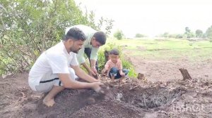 शेतीच्या बांधावर फळझाडे लागवडीचा प्रयोग यशस्वी- भाग 2