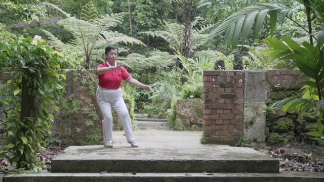 Qigong Shi Ba Shi 108 Simplify By Alice Ho Soon Kim смотреть онлайн