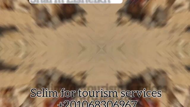 Safari Sharm El Sheikh смотреть онлайн