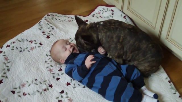 Счастливые дети и собаки смотреть онлайн