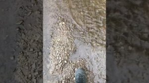 Река Средняя Каргалка, выше по течению у Татарской Каргалы. Сакмарский район оренбургская область