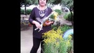 Вы первый наш учитель! Вы словно наш родитель! Клип.