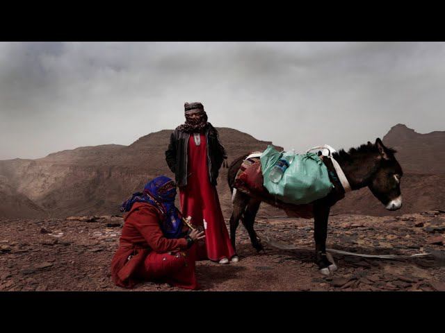 Два друга... всегда вместе, всегда рядом смотреть онлайн