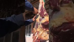 Разделка говяжей ноги для сушки дагестан
