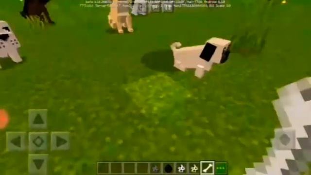 Мод на собак в майнкрафт ?? смотреть онлайн