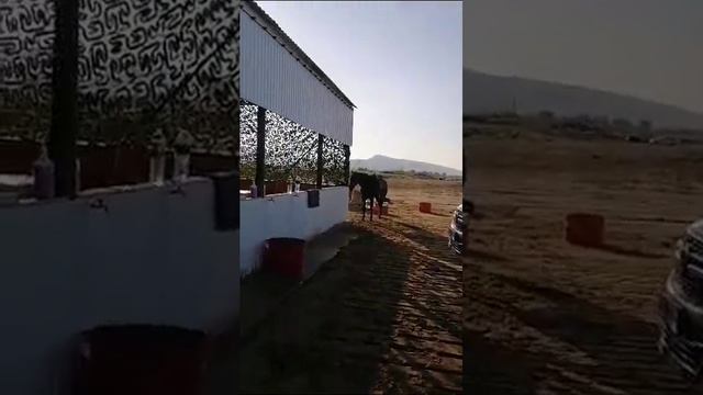 #дагестан#авадан#море #папа блогер смотреть онлайн