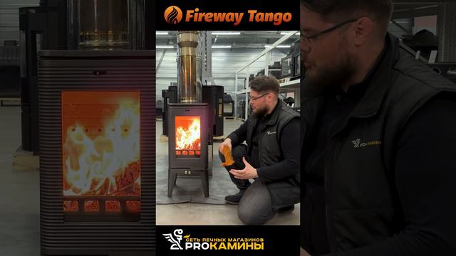 ОБЗОР ПЕЧИ FIREWAY TANGO НОВИНКА 2024 ГОДА + РЕГУЛИРОВКА ГОРЕНИЯ №13 #камин #печь #печькамин #fire4k