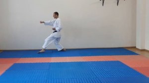 Тайкиоку шодан, кихон ката Taikioku shodan  kihon kata