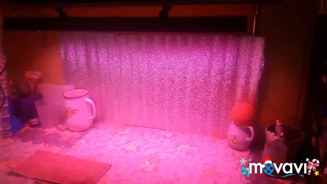 Мой уголок для выращивания рассады смотреть онлайн