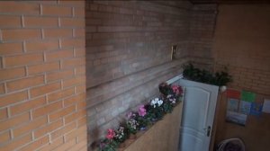 Валерий Малышев Блаженная Алипия-ИрИна