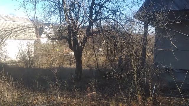 ДАЧА . УБИРАТЬ ЛИСТВУ НА ЗИМУ? ИЩУ КОТЯТ. смотреть онлайн