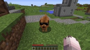 Я СПАС СОБАКУ В МАЙНКРАФТ ! СПАСЕНИЕ ЩЕНКА В MINECRAFT