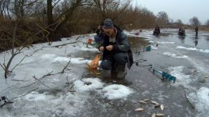 Ловля карася на пруду в оттепель .