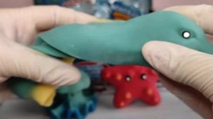 Володарі морських глибин ??? Подводные жители и интересные факты про них? #sbabam #kiddisvit