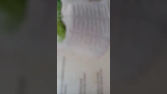 сытный салат на завтрак. смотреть онлайн