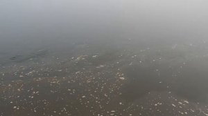Река Колва