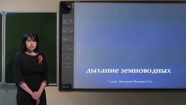 7 класс. Биология. Эволюция органов дыхания у животных смотреть онлайн