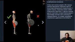 ГИПЕРЭКСТЕНЗИИ / ЭКСТЕНЗИИ НА РИМСКОМ СТУЛЕ. В ЧЕМ ОТЛИЧИЯ?