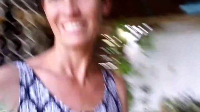 Mphepho, Lavender & Rosemary Smudge sticks смотреть онлайн