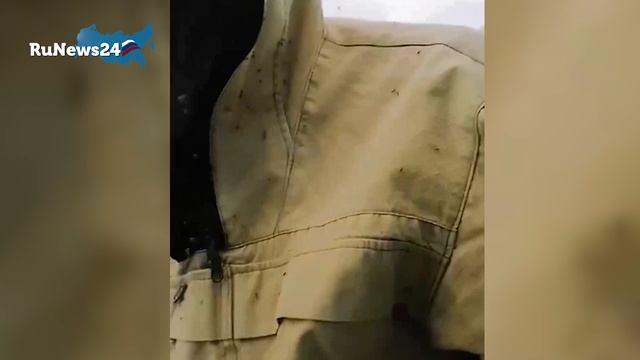 "Выгрызают все под одеждой, места укусов опухают"