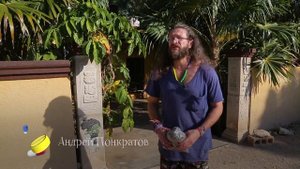 Лечить по-мексикански. Мнимый больной, или путешествие ипохондрика. Часть 2 ? Моя Планета