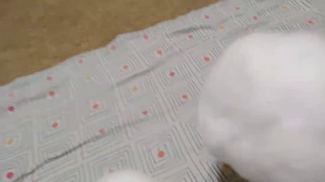 оцените видео, снятое первый раз Софией без помощи . басики играют в снежки смотреть онлайн