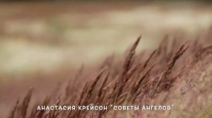 Медитация с Хранителем Рода на очищение силой 4 стихий.