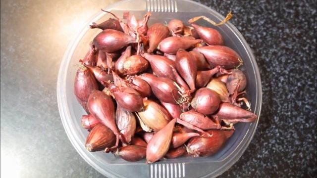 Лук-севок: нестареющая классика и новинки! смотреть онлайн