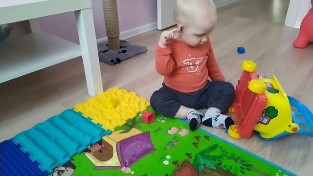 Рецепты "Медового " и "Венского" печенья, новые игрушки, домашние хлопоты