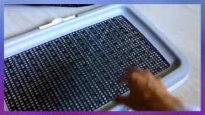 ТУАЛЕТ ДОМА для собак  ✔️ ИЗБАВИЛИСЬ ОТ ЛУЖ И ЗАПАХА ✔️ Лоток для щенка.