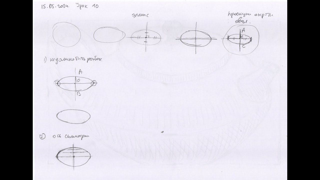 Основы рисунка. Урок 10. Часть 1. Изучаем рисование овалов