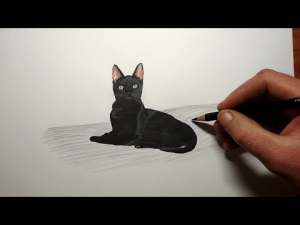 Как нарисовать Кошку