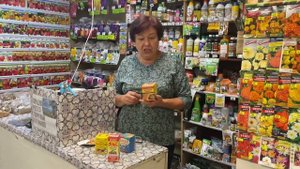 ДЫМОВЫЕ ШАШКИ. ОБРАБОТКА ТЕПЛИЦ ОСЕНЬЮ