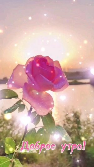 Поздравления С Днем Рождения Любимой Девушке