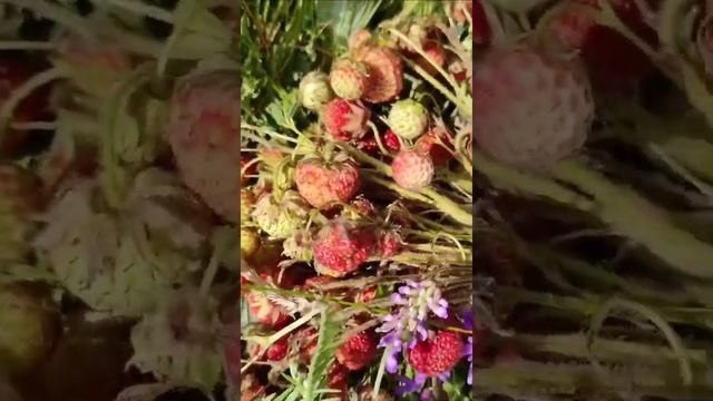 #букетклубничный    ВАМ - КЛУБНИЧНЫЙ БУКЕТ.