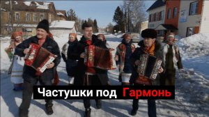 Частушки под ГАРМОНЬ по Ижме | Играй, Гармонь