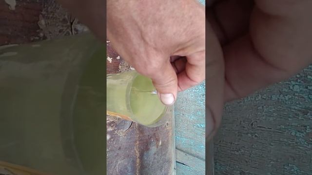 Виномер бытовой из магазина. смотреть онлайн