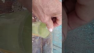 Виномер бытовой из магазина.