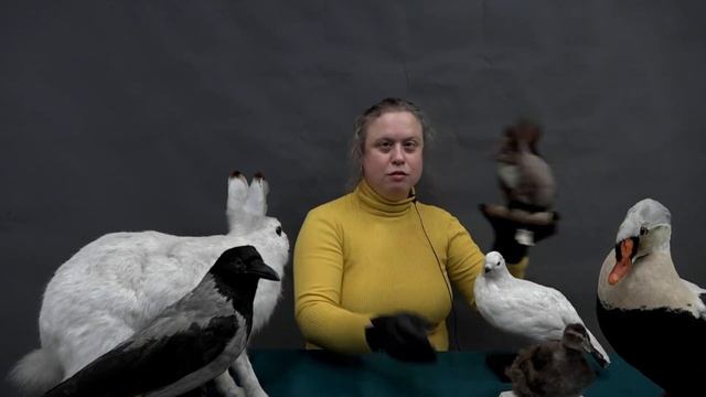 Мифы финно-угорских народов о возникновении мира смотреть онлайн