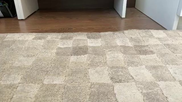 Что надо если захотелось купить хомяка(2часть) смотреть онлайн