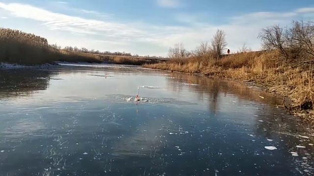#рыбалка#жерлицы#балансир Рыбалка на жерлицы! На второй день Леска трещала в руках от таких ЩУК!!