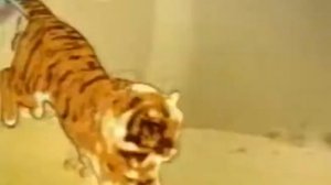 Моторное масло "ESSO"