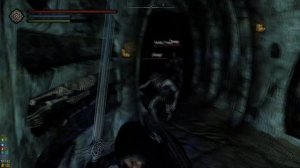 Skyrim: Dragon's Souls • Моя сборка на Скайрим