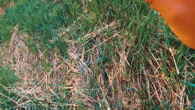 Мал да удал! Обзор Strike Pro EG 036F смотреть онлайн