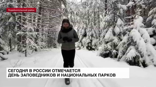 11 января в России отмечается День заповедников и национальных парков