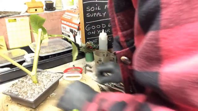 Hilda’s Offspring смотреть онлайн